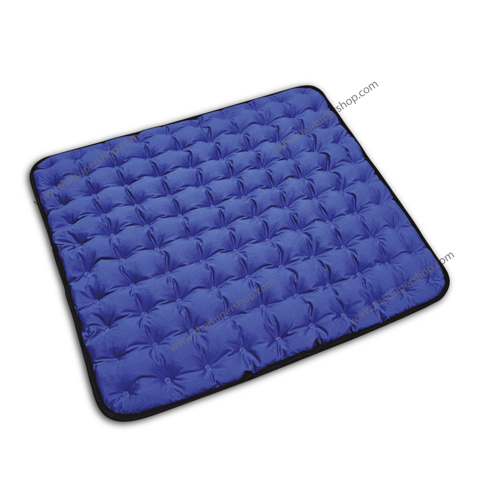 เบาะรองนั่งเจล รุ่น GS-015